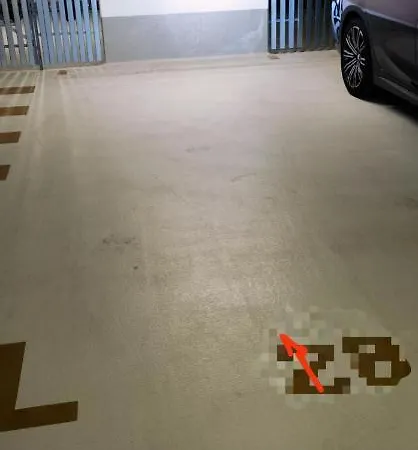 Near Fair And In Few Min, With Garden