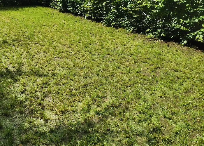 Apartamento Near Fair And In Few Min, With Garden Fráncfort del Meno