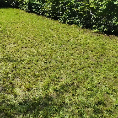 아파트 Near Fair And In Few Min, With Garden 프랑크푸르트